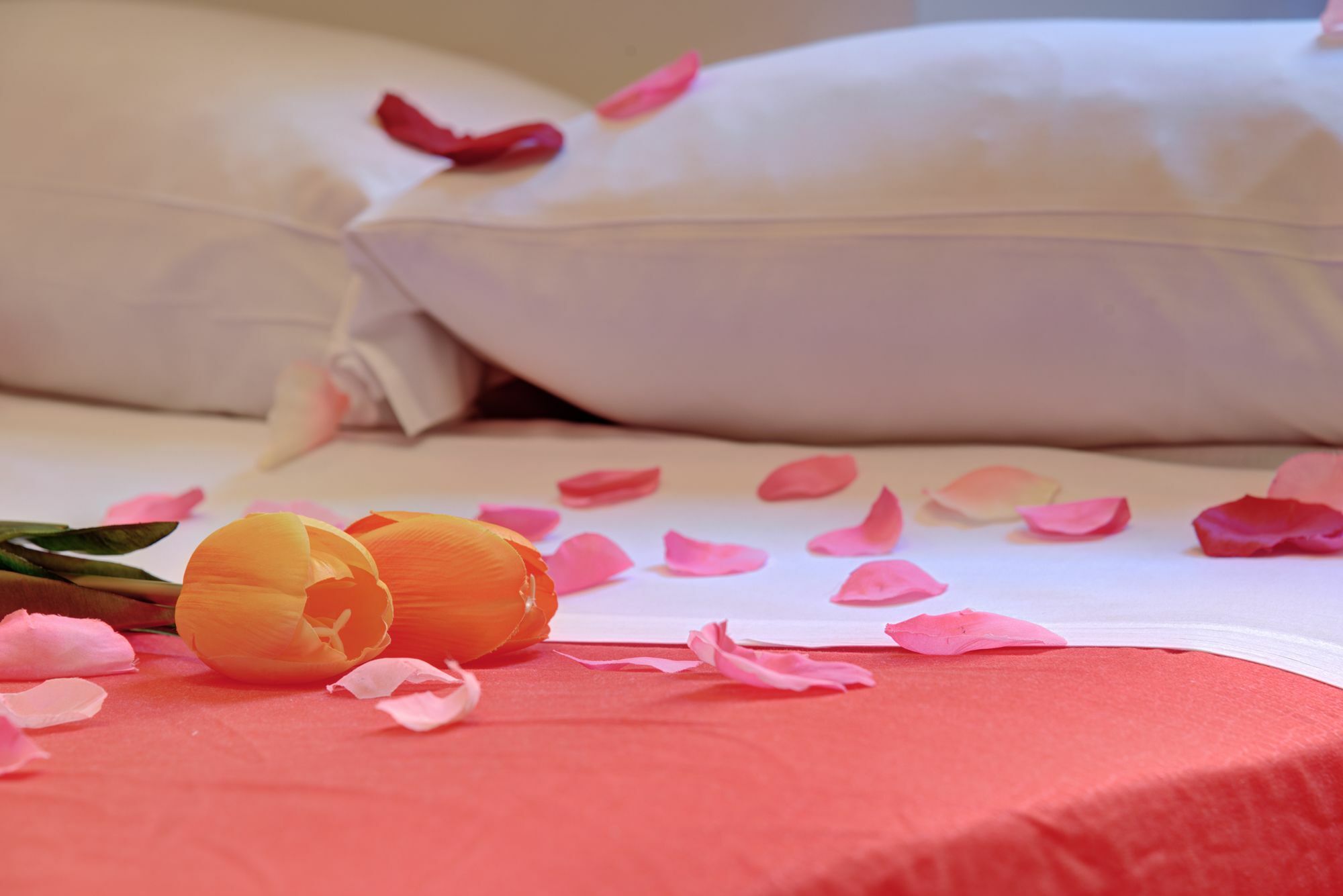 Ad Hoc Guest House Рим Экстерьер фото